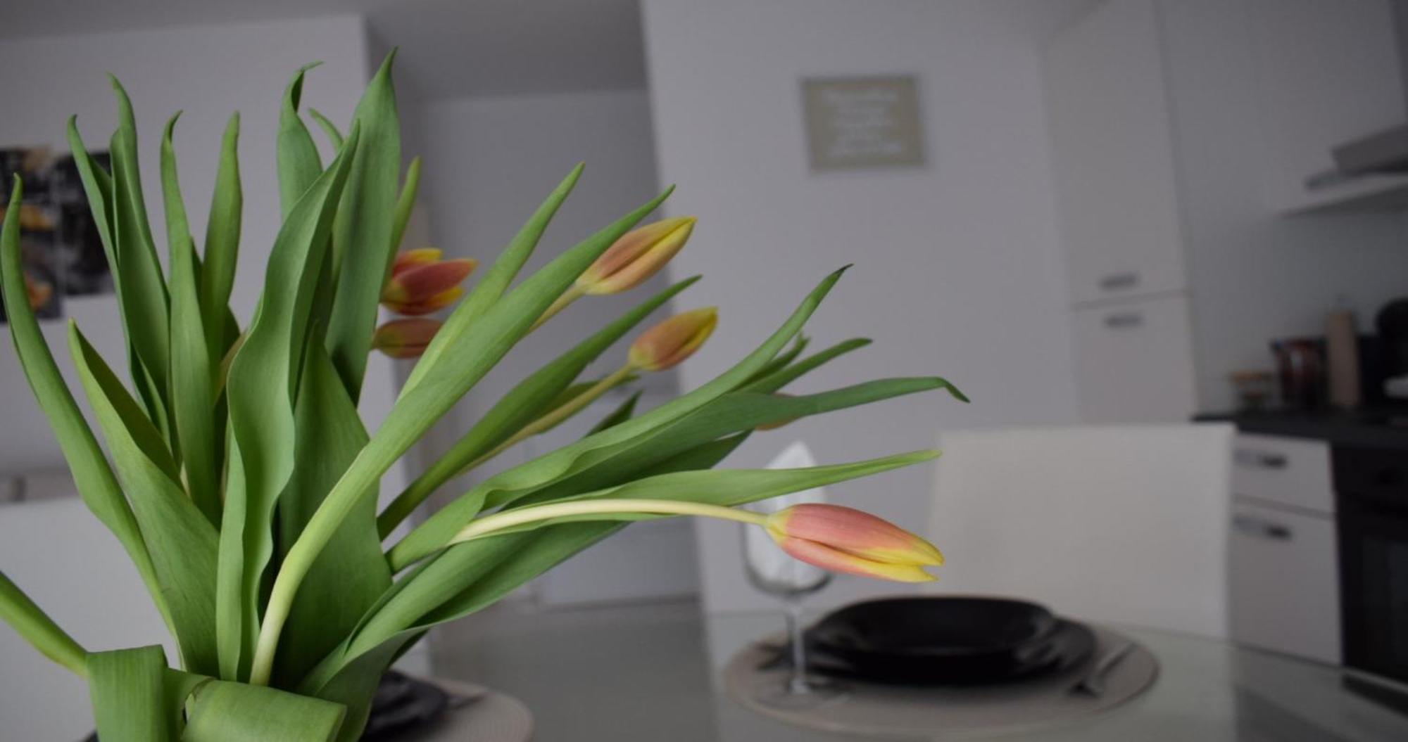 Apartmani Foresta Kras Екстер'єр фото